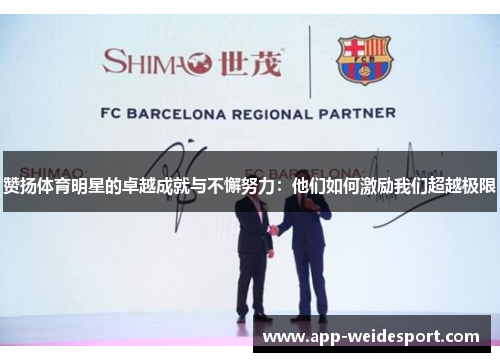 赞扬体育明星的卓越成就与不懈努力：他们如何激励我们超越极限
